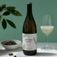 Kombucha Kombu Viva - Green, 1l Kombucha Kombu Viva - Green, 1l